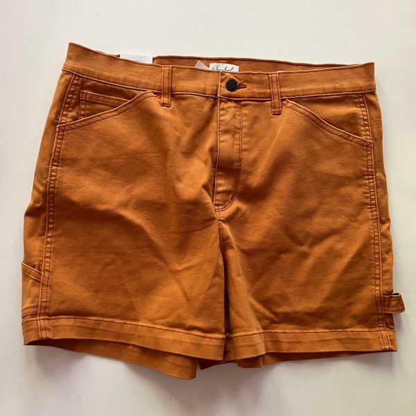 Shorts By Wondery In Rust, Size: 12 Online