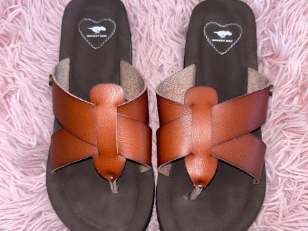 Sandals Flip Flops By Rocket Dogs In Brown, Size: 6 Cheap