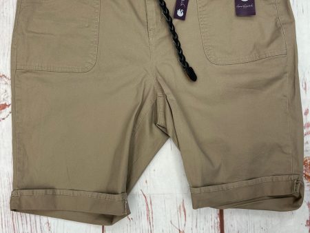 Shorts By Gloria Vanderbilt In Brown, Size: 18 Sale