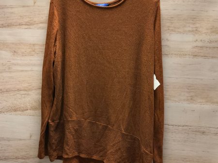 Top Long Sleeve By Apt 9 In Rust, Size: L For Discount