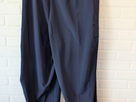 Athletic Pants By Columbia In Blue, Size: 22 Online Hot Sale