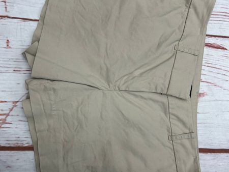 Shorts By Ann Taylor O In Khaki, Size: 8 Supply