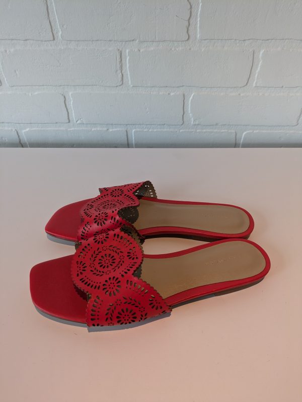 Sandals Flats By Ann Taylor In Red, Size: 6.5 Online Hot Sale